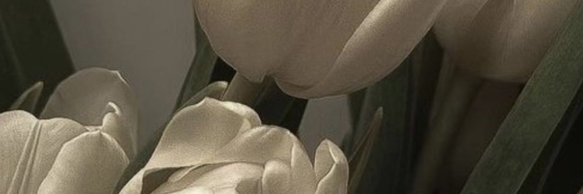 fermcortes19's profile banner image