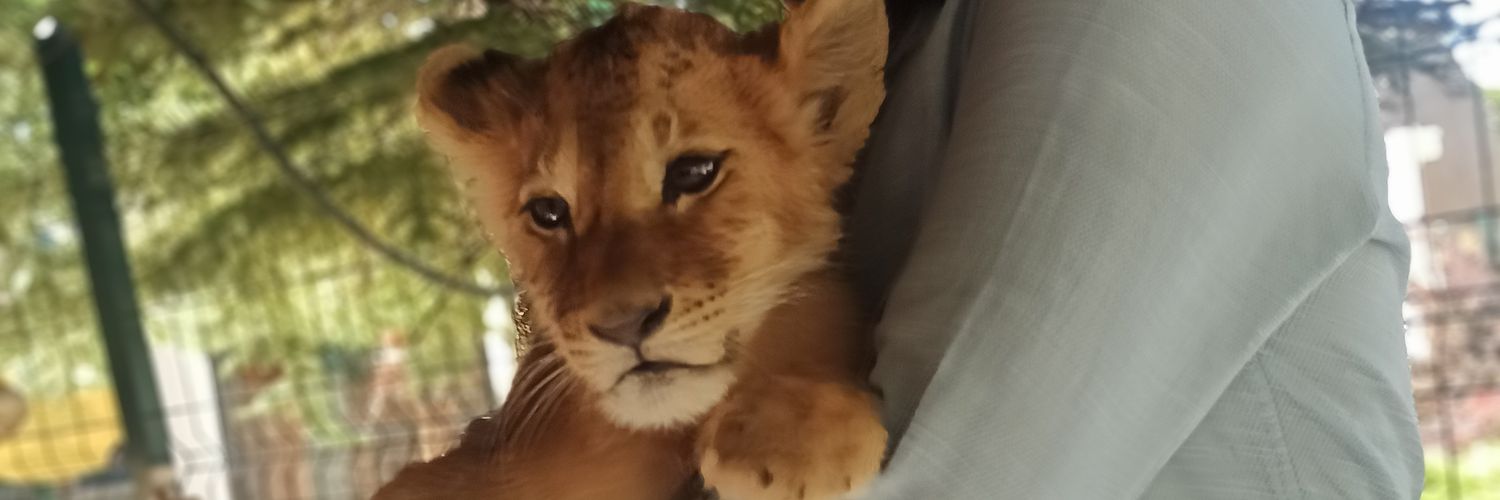 Tweetbonjur1's profile banner image