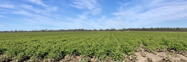 matt_waye Profile Banner