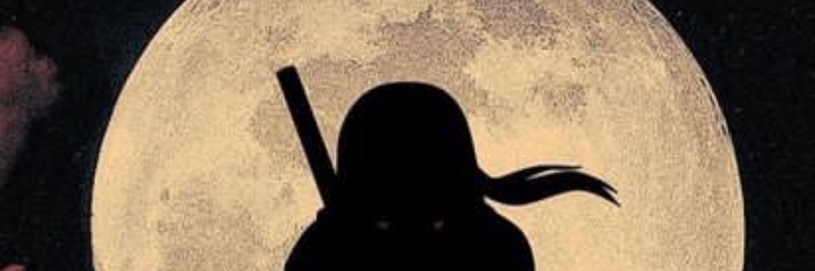 ZZINGULF's profile banner image
