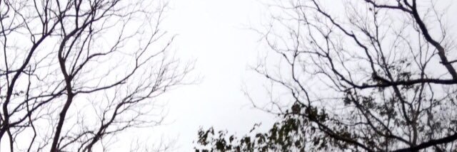 WennHuang's profile banner image