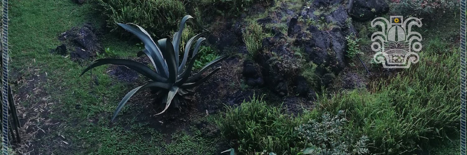 iiaunam's profile banner image