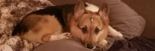 MrKitMath Profile Banner