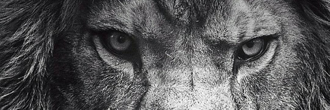 LORDSIXTYEIGHT's profile banner image