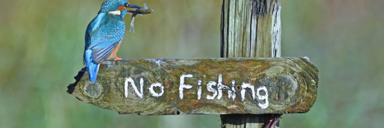 Olivier Gimenez 🖖🦦 banner