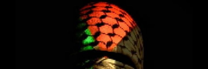amnushonx's profile banner image