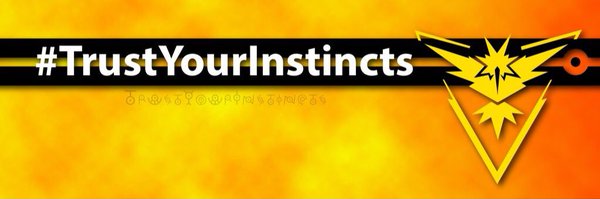 TeamInstinct_Go Profile Banner