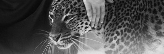 𝑹𝒖𝒃𝒊 banner