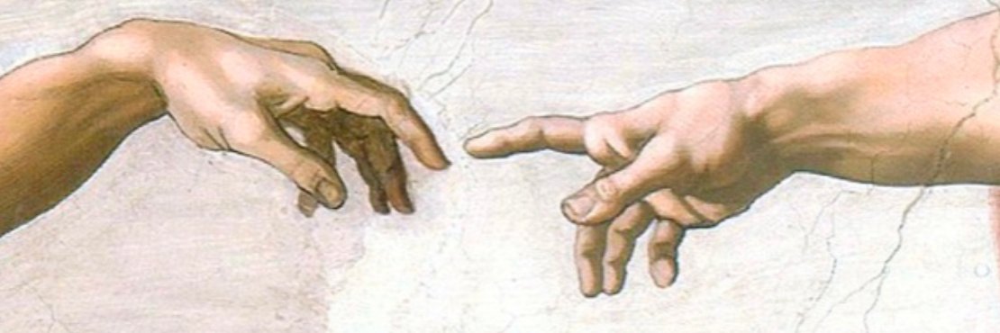 DingoDogDotCom's profile banner image