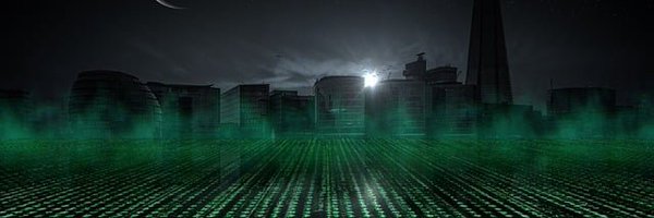 rayray_1_ Profile Banner