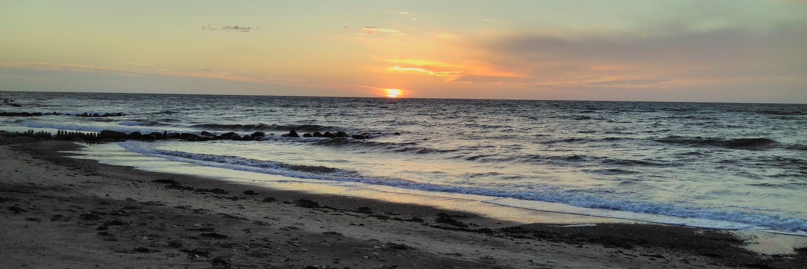 Robert Hensing banner