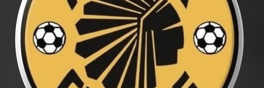 Motshweneng banner