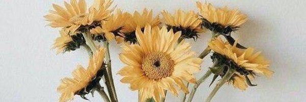 Oleander__ Profile Banner