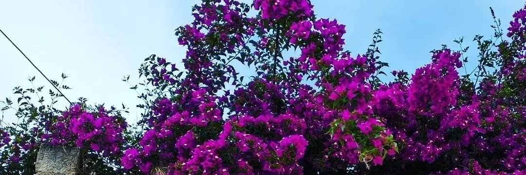 robyngcox1's profile banner image