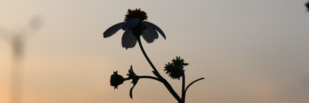 Phunhat009's profile banner image