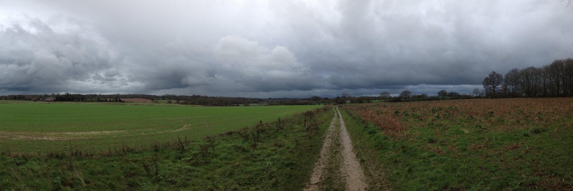 walkingonlego banner