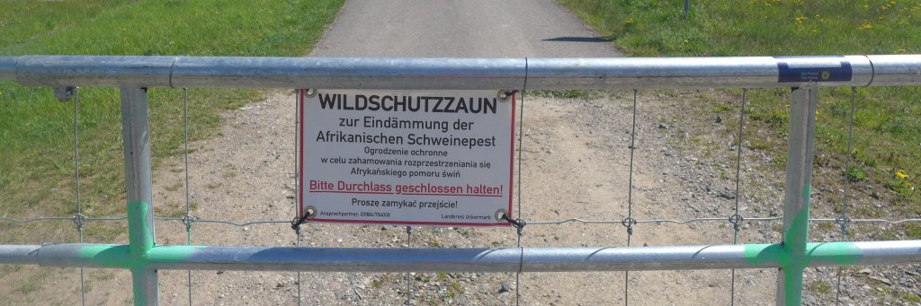 saeschsaesch's profile banner image