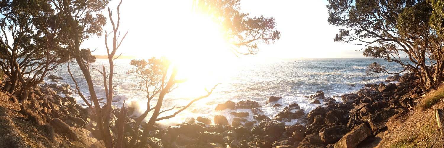 Aoterra 🇳🇿 banner