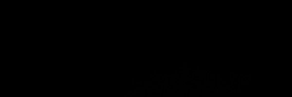 chairmancaleb Profile Banner