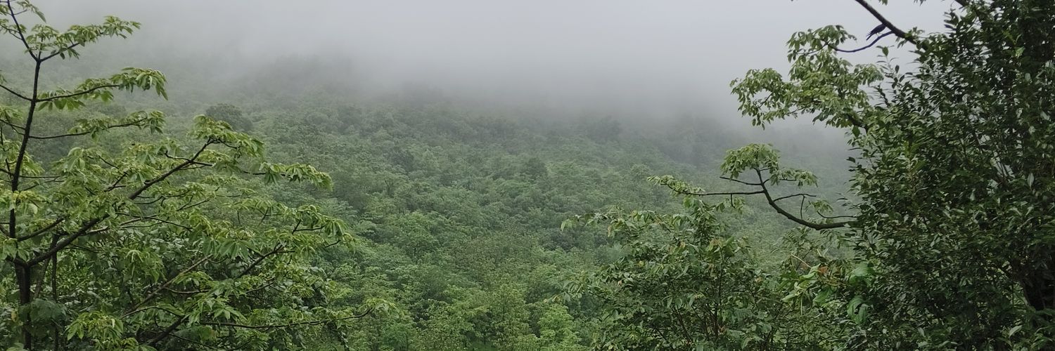 SatishKr010's profile banner image