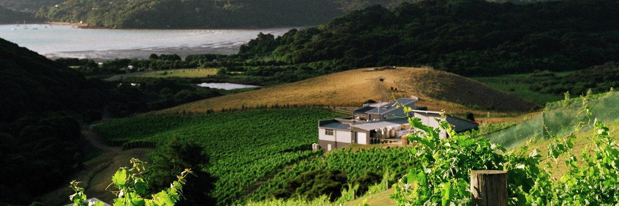 Destiny Bay Wines banner