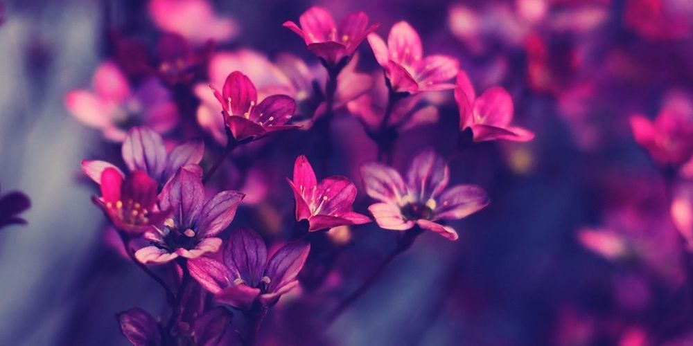 Charly483's profile banner image