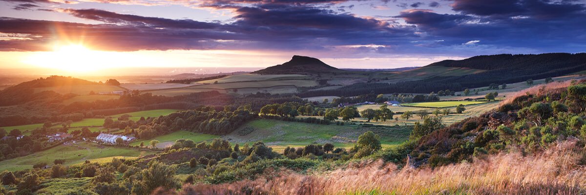 David Hempsey banner