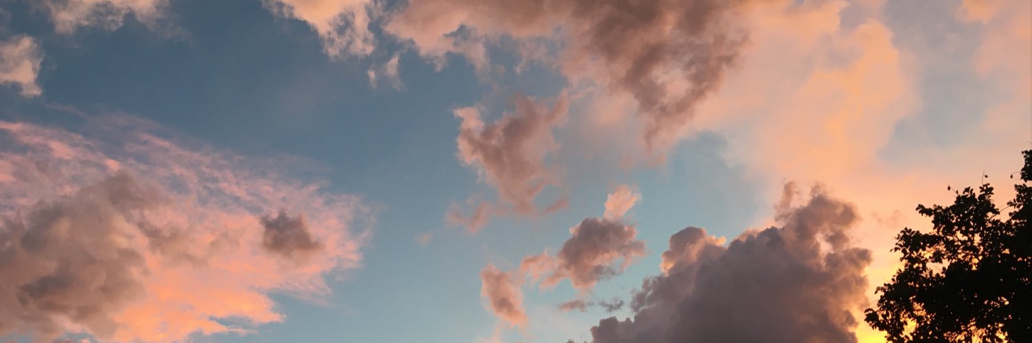 thefasttimes's profile banner image