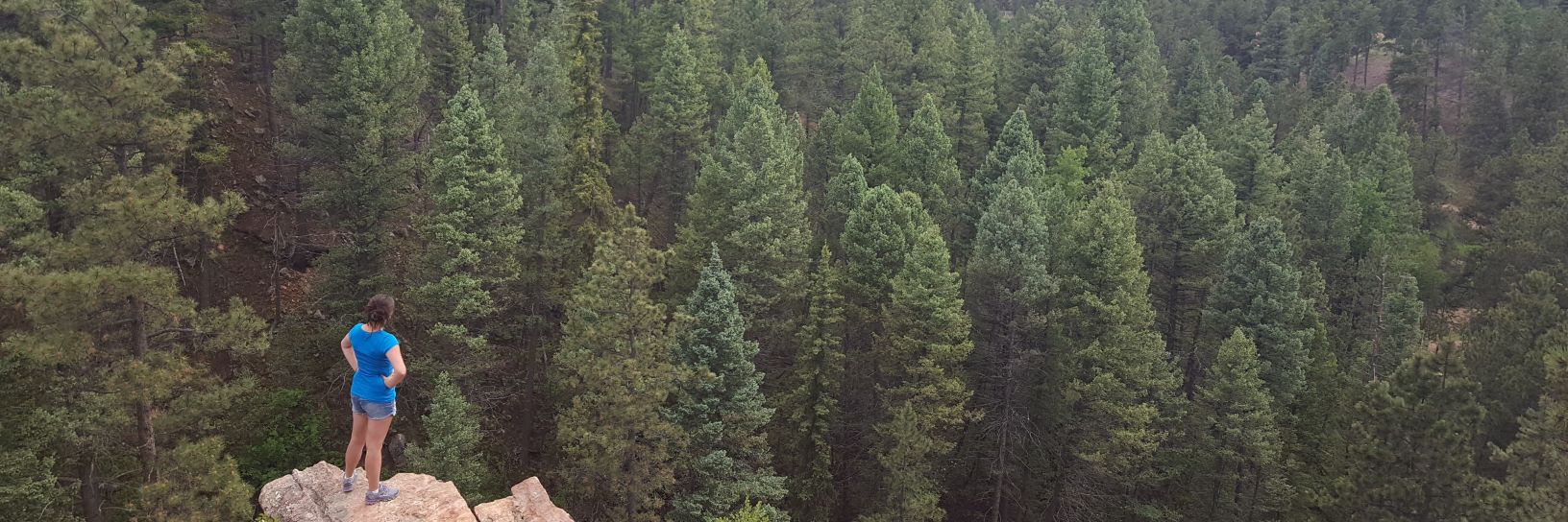 ambermlynn's profile banner image