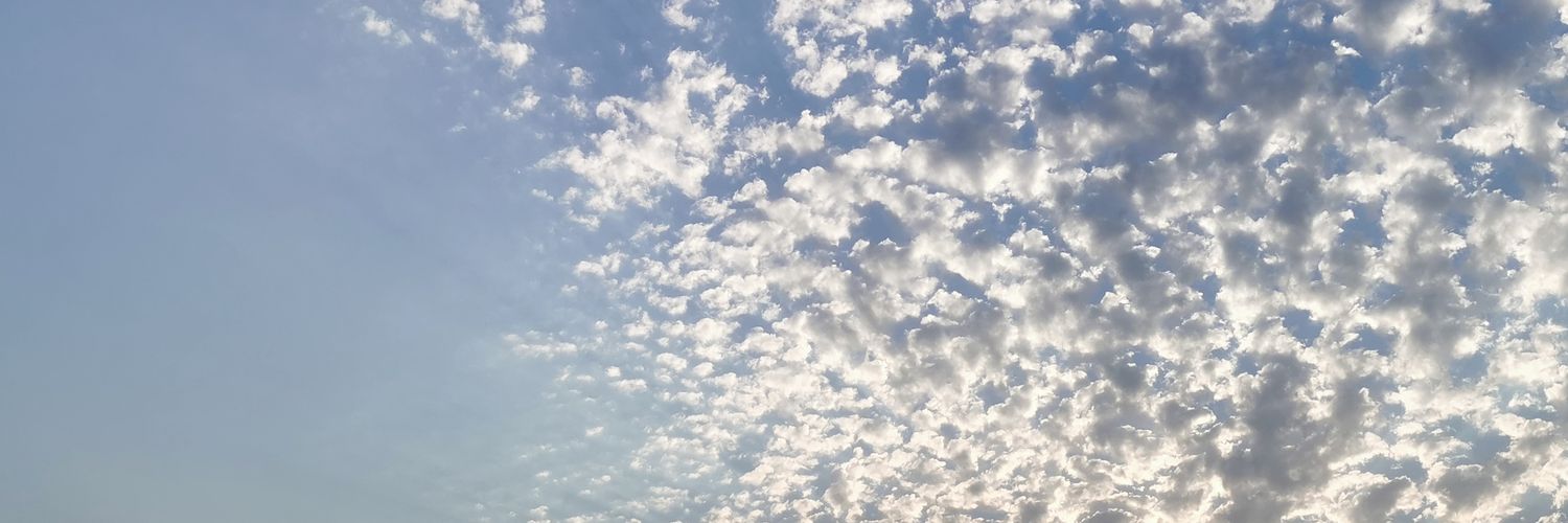 Wael Al Rabaan banner