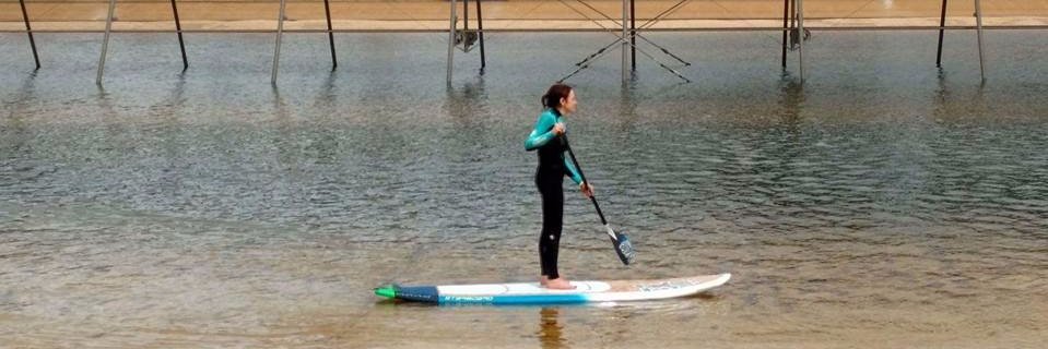 Paula McGuire banner