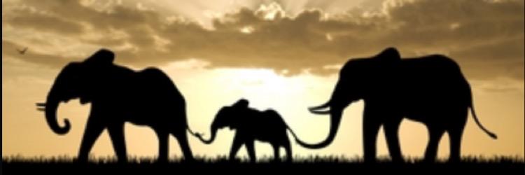 mickayla_willis's profile banner image