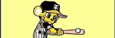 toratoratigers2's profile banner image