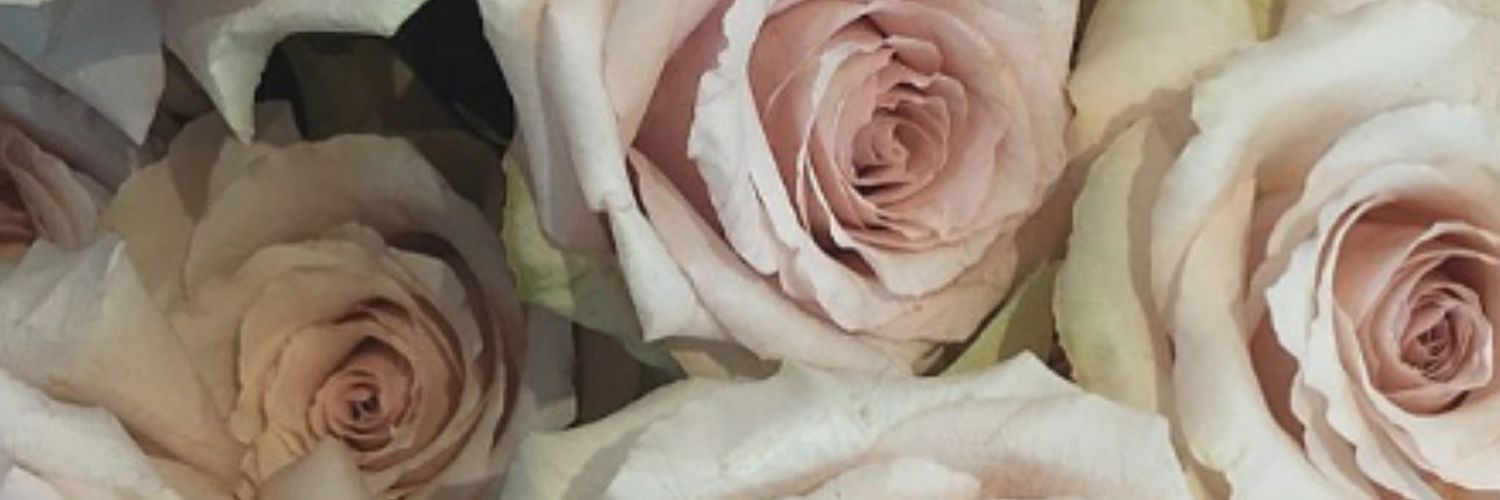 Ambertiera_me's profile banner image