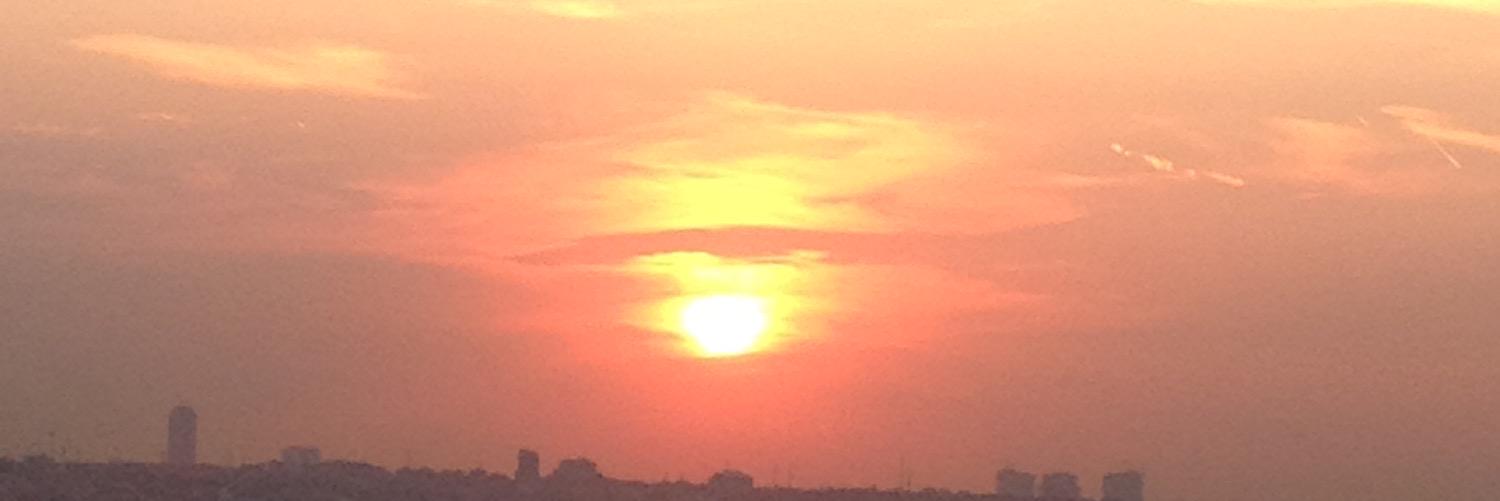 zeynogunenc's profile banner image