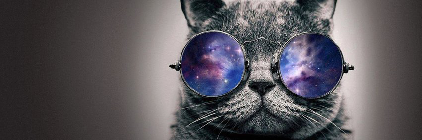 MatthewSenechal's profile banner image
