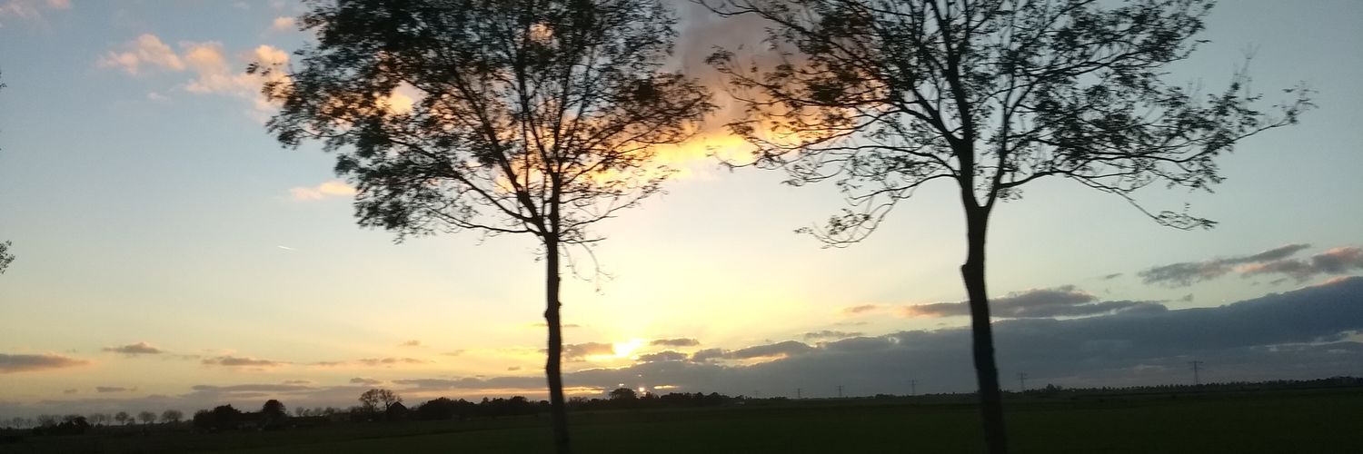 elidijk's profile banner image