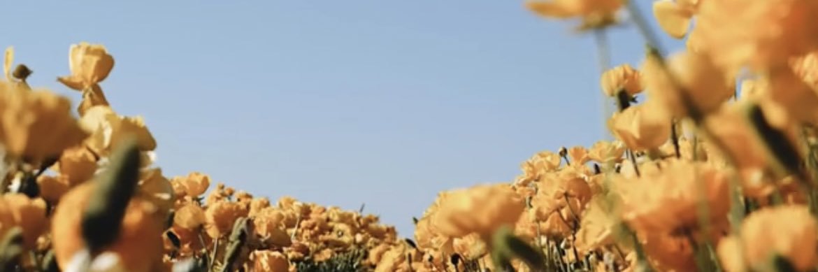 Cephas Azariah banner