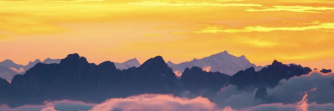 EliseSeeBee's profile banner image