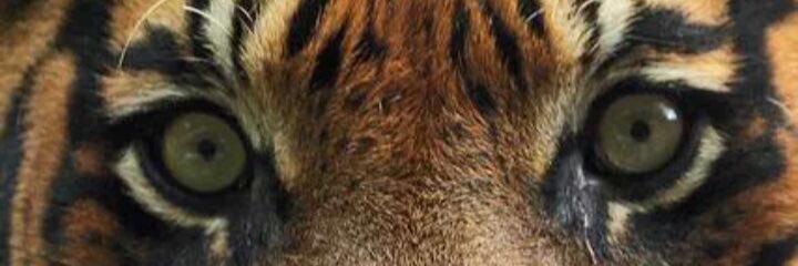 MiguelArbera's profile banner image