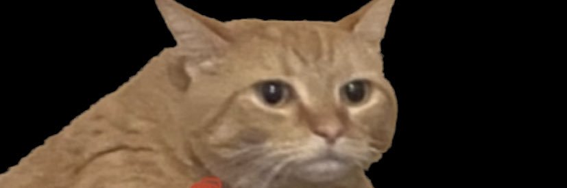 byebaile's profile banner image