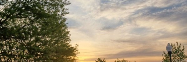 Mungnwing Profile Banner
