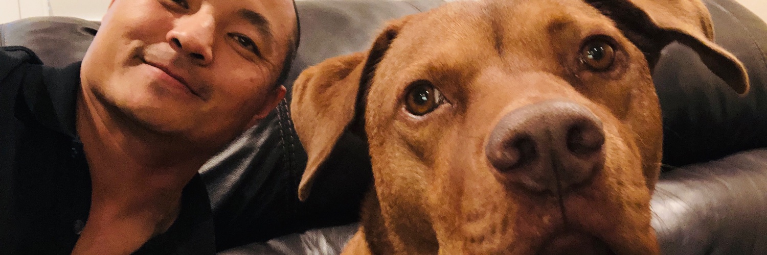 SocialURL's profile banner image