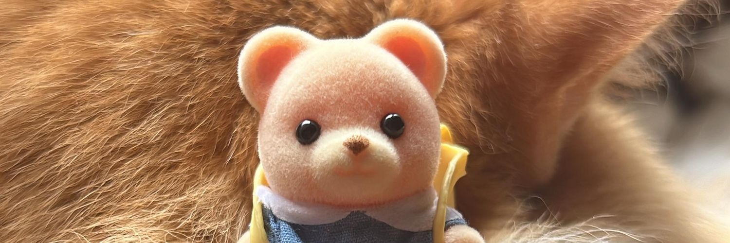 ̑̑katu໒꒱ ‧˚🐈 banner