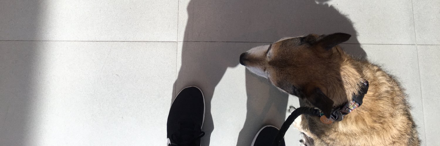 MsMissyDog's profile banner image