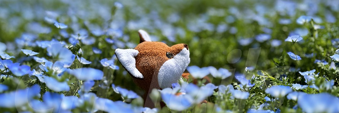 すまり庵（元CHテイルズ）@ぬいぐるみ写真家's banner