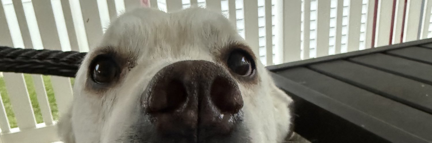 Felix_Sm1th's profile banner image