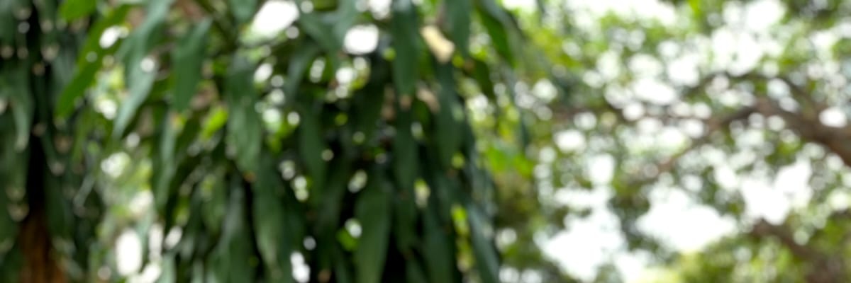 riyanwp's profile banner image