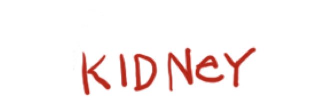 JackEatsKidneys's profile banner image