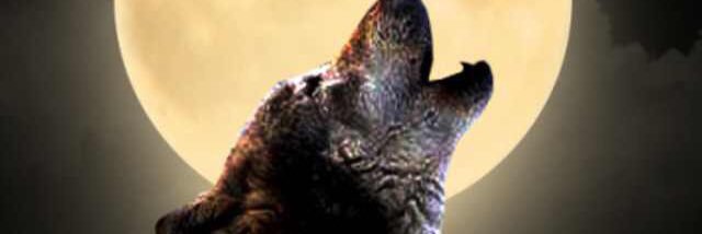 undertaker33's profile banner image